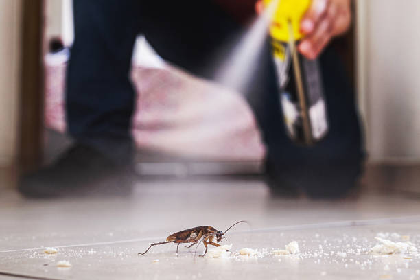 Best Pest Removal Services  in Wyoming, OH